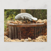 Manatee Fountain Briefkaart (Voorkant)