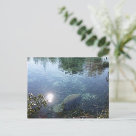 Manatee in Crystal River, FL Briefkaart (Staand voorkant)