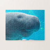 Manatee in Florida Legpuzzel (Horizontaal)