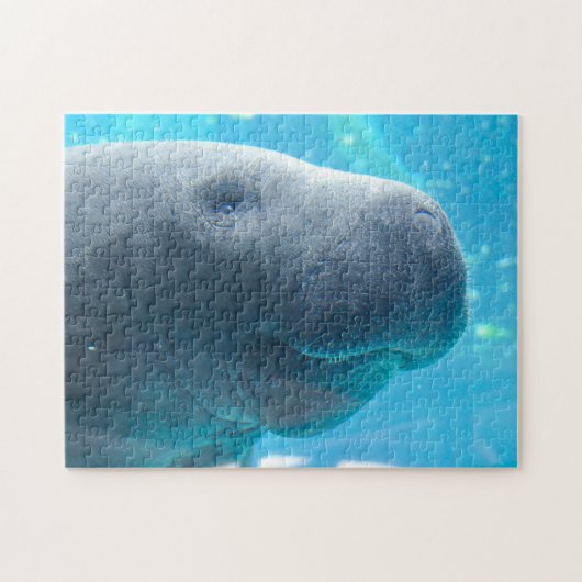 Manatee in Florida Legpuzzel (Horizontaal)