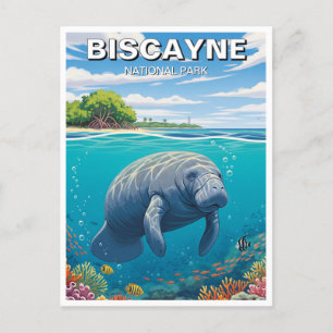 Manatee in het Biscayne National Park Briefkaart