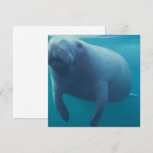 Manatee Invitation Kaart (Voorkant / Achterkant)