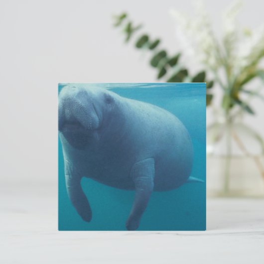 Manatee Invitation Kaart (Staand voorkant)