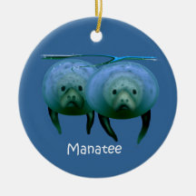 Manatee kerstversier