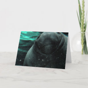 Manatee Kiss Kaart