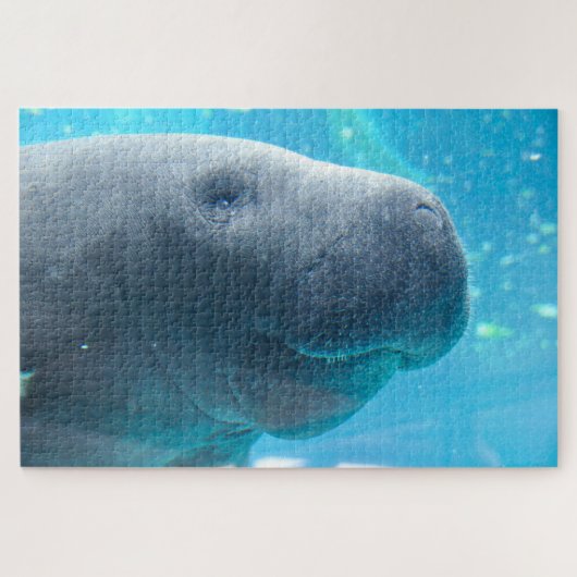 Manatee Legpuzzel (Horizontaal)
