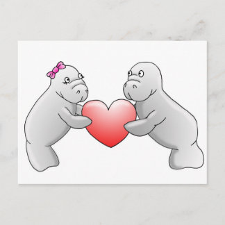 Manatee love briefkaart
