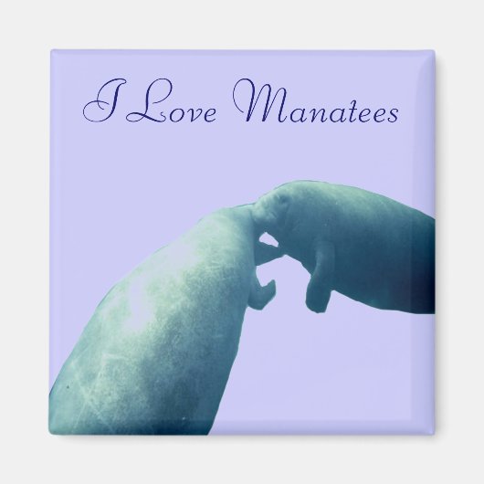 Manatee Magneet (Voorkant)