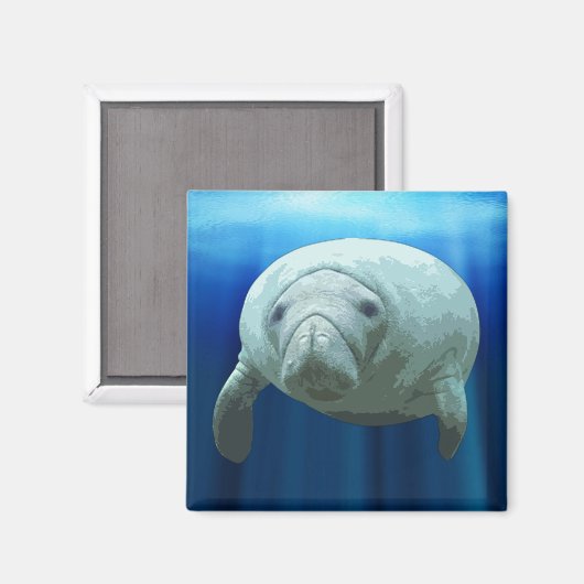 Manatee Magnet (Voorkant / Achterkant)