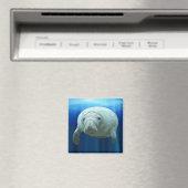 Manatee Magnet (Insitu (Vaatwasser))