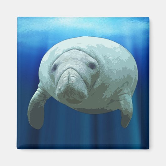 Manatee Magnet (Voorkant)