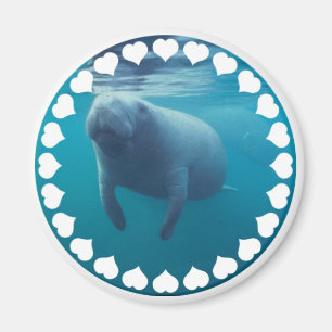 Manatee Magnet