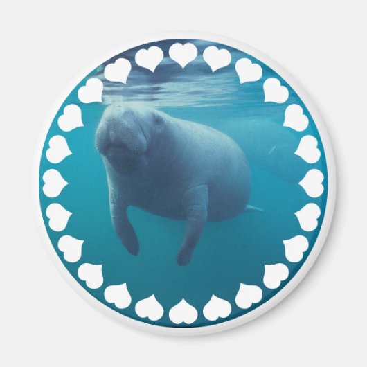 Manatee Magnet (Voorkant)
