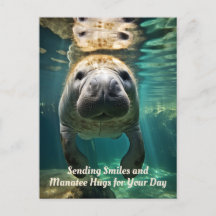 Manatee Marvel: Manatee
