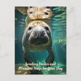 Manatee Marvel: Manatee Feestdagenkaart
