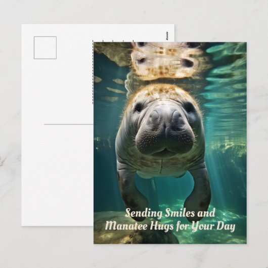 Manatee Marvel: Manatee Feestdagenkaart (Voorkant / Achterkant)