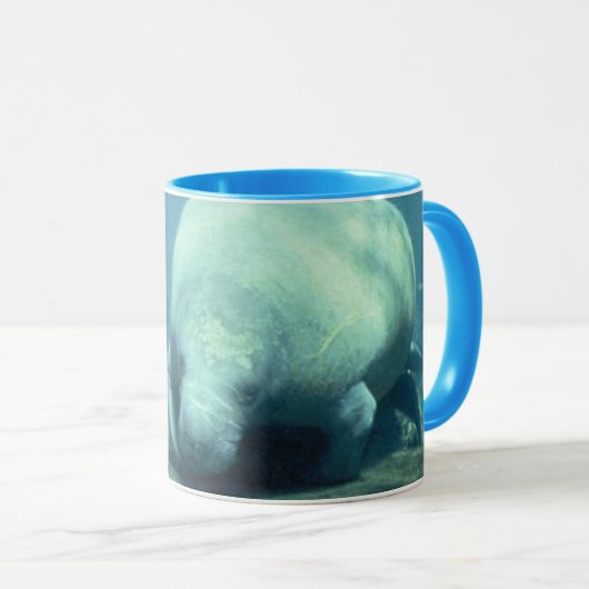 Manatee Mok (Voorkant rechts)