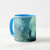 Manatee Mok (Voorkant links)