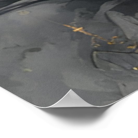 Manatee Nun Poster (Hoek)