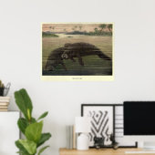  Manatee Painting (1909) Poster (Thuiskantoor)