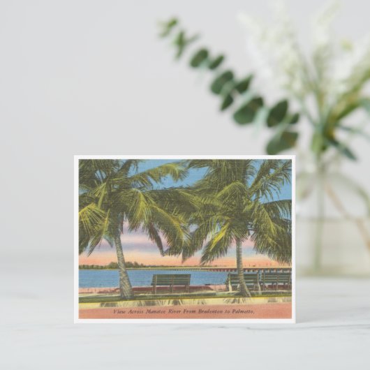  Manatee River Bradenton Briefkaart (Staand voorkant)