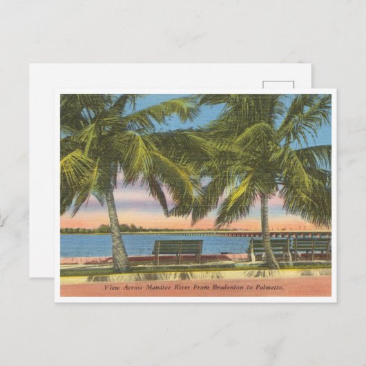  Manatee River Bradenton Briefkaart (Voorkant / Achterkant)