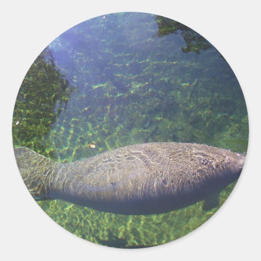 Manatee Ronde Sticker (Voorkant)