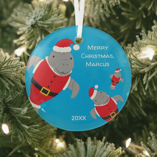 Manatee Santa Outfits Name Kerstmis Glas Ornament (Insitu)