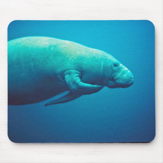 Manatee Scratching Muismat (Voorkant)