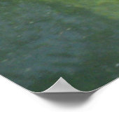 Manatee Smile Poster (Hoek)