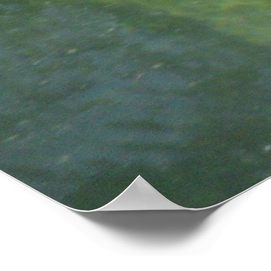 Manatee Smile Poster (Hoek)