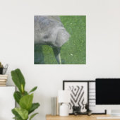 Manatee Smile Poster (Thuiskantoor)