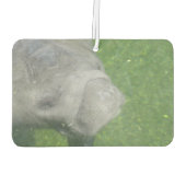 Manatee Smiles Luchtverfrisser (Achterkant)