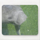 Manatee Smiles mousepad Muismat (Voorkant)