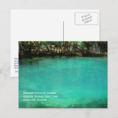 Manatee Springs-Briefkaart Briefkaart (Voorkant / Achterkant)