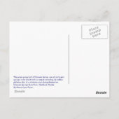 Manatee Springs-Briefkaart Briefkaart (Achterkant)