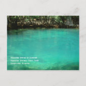 Manatee Springs-Briefkaart Briefkaart (Voorkant)