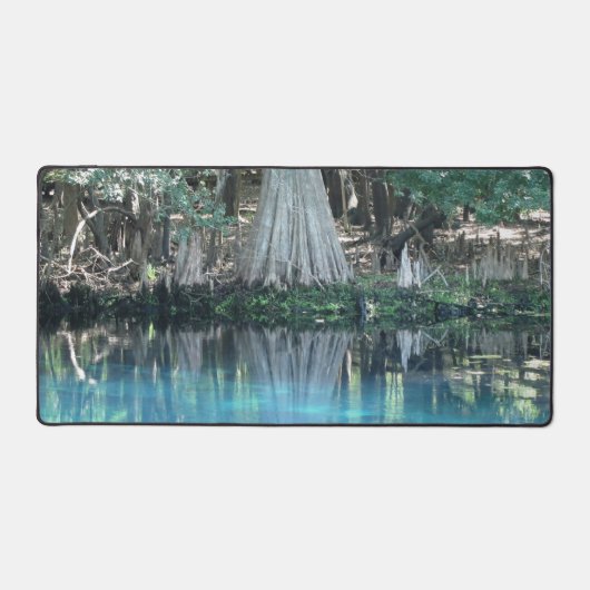 Manatee Springs Custom Desk Mat (Voorkant)