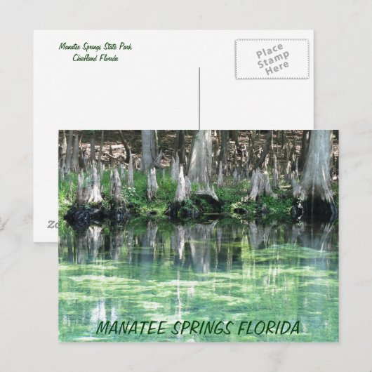 Manatee Springs Fl Briefkaart (Voorkant / Achterkant)