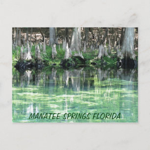 Manatee Springs Fl Briefkaart