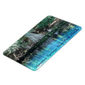 Manatee Springs Fl Flexi Magnet Magneet (Linkerzijde)