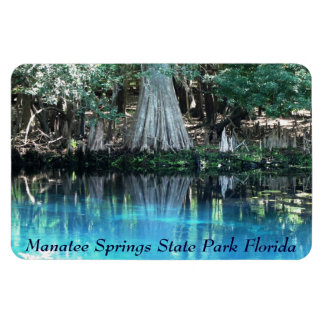 Manatee Springs Fl Flexi Magnet Magneet