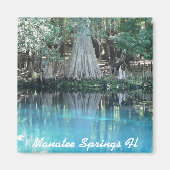 Manatee Springs Fl Magnet (Voorkant)