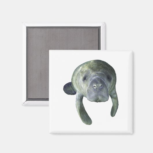 Manatee Springs Magneet (Voorkant / Achterkant)