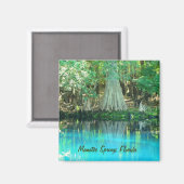 Manatee Springs Magnet (Voorkant / Achterkant)