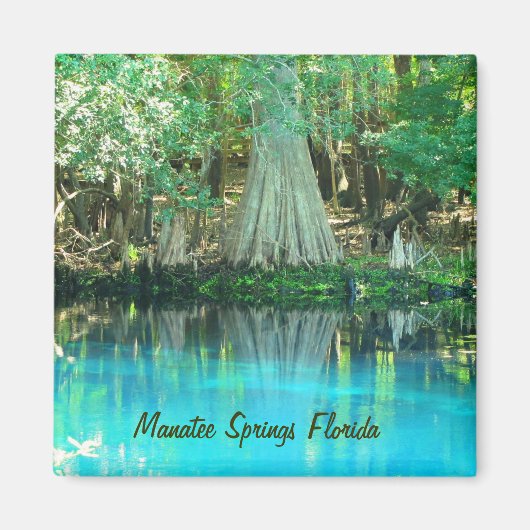 Manatee Springs Magnet (Voorkant)