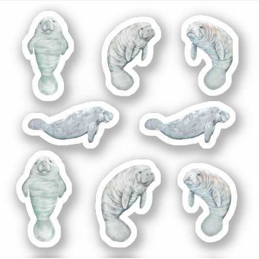 Manatee Sticker Set Aangepast Vinyl (Voorkant)