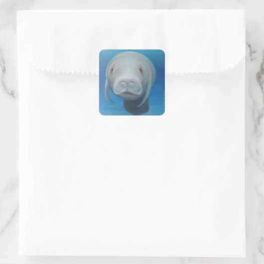 Manatee Stickers (Tas)