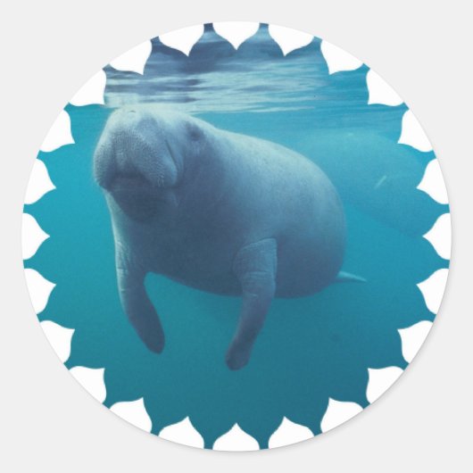 Manatee Stickers (Voorkant)