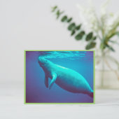Manatee Surface to Breathe Briefkaart (Staand voorkant)